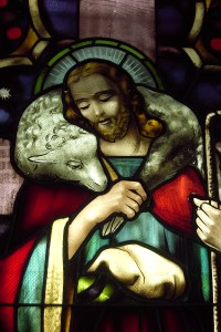 Foto por Jeremy Doorten