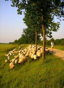 Foto por Elly Kelner